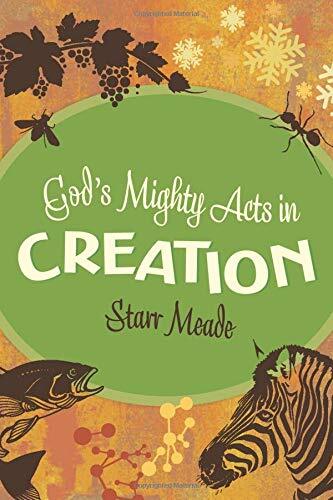 Provides a series of lessons on the Biblical story of Creation and what it reveals about the nature of God, and offers suggestions of things to do to incorporate the meaning of the lessons into everyday life.