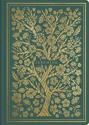 ESV Illuminated Scripture Journal: Jeremiah pairs the entirety of the book of Jeremiah with a lightly dotted blank page opposite each page of Bible text and hand-lettered illustrations interspersed throughout--providing space to creatively engage with and