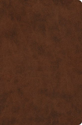 ESV Value Compact TruTone, Brown

The ESV Value Compact Bible retains many of the components and convenient trim size of the ESV Compact Bible but without gilded edges and a ribbon marker--a great edition at an affordable price.