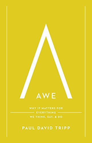 Why It Matters for Everything We Think, Say, and Do

Helping us cultivate an ever-growing passion for God, this book highlights the importance of the concept of awe for everything we think, say, and do and leads readers to rediscover their a