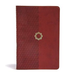 Filled with hundreds of study helps and 146 devotions written especially for teens, this fully designed, four-color Bible will help you apply God's Word each day and connect with Him as never before. The CSB Essential Teen Study Bible features the readabl