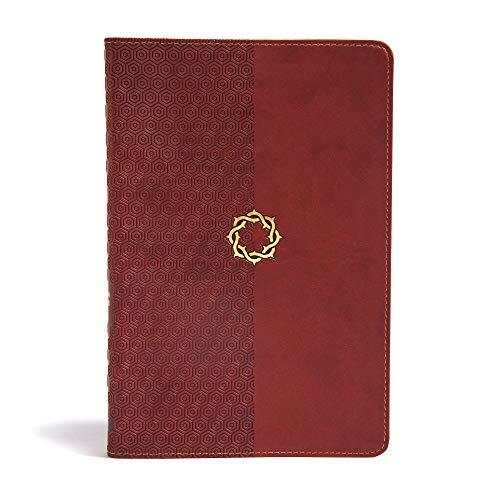 Filled with hundreds of study helps and 146 devotions written especially for teens, this fully designed, four-color Bible will help you apply God's Word each day and connect with Him as never before. The CSB Essential Teen Study Bible features the readabl