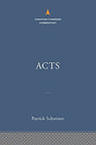 Acts: The Christian Standard Commentary is part of The Christian Standard Commentary (CSC) series. This commentary series focuses on the theological and exegetical concerns of each biblical book, thoughtfully balancing rigorous scholarship with practical 