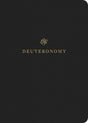 ESV Scripture Journal: Deuteronomy positions the full text of the book of Deuteronomy opposite lightly lined blank pages for recording notes and prayers--a great resource for personal Bible reading and reflection, group Bible studies, or sermon notes.