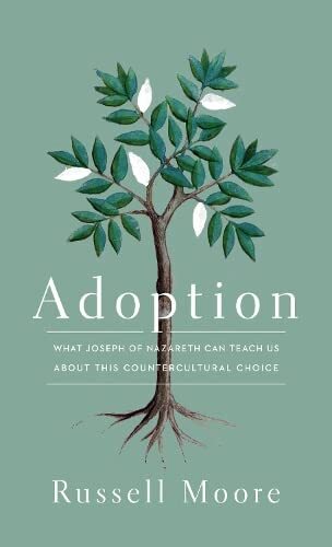 What Joseph of Nazareth Can Teach Us about This Countercultural Choice


Looking to Joseph's adoption of Jesus as a model, this short book encourages readers to view adoption as a way to protect children—born and unborn—from the injustices of abortion, ab