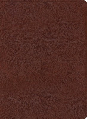 CSB Pastor's Bible Verse-By-Verse